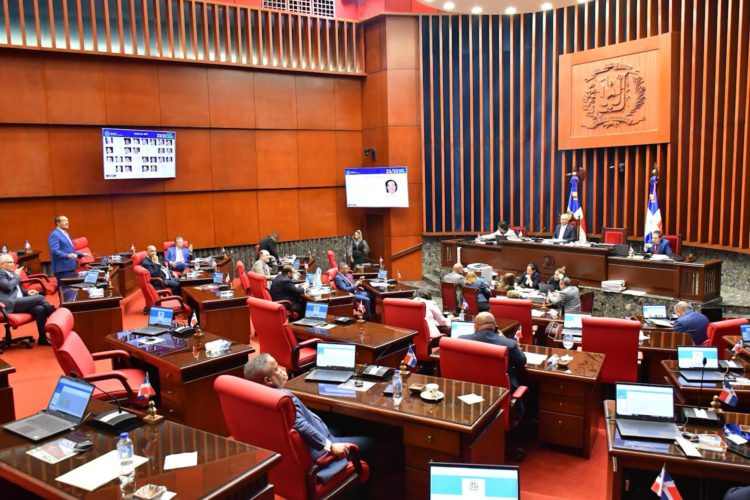 Senado conforma Comisión Especial para analizar contrato Aerodom