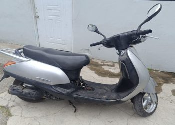 Agentes Adscritos a la Dirección Regional Sur Central Recuperan Pasola Sustraída en Azua