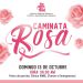 IRMIE llama a población participar en caminata rosa contra el càncer de mama