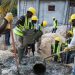 Migración analiza la demanda local de obreros extranjeros en los sectores agrícola y construcción