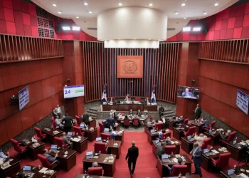 Senado valida en primera discusión que Poder Ejecutivo emita deuda pública por RD$350,990 millones