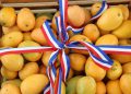 Bani: «Capital del mango»