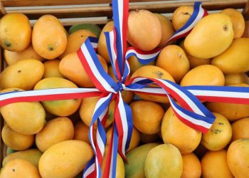 Bani: «Capital del mango»