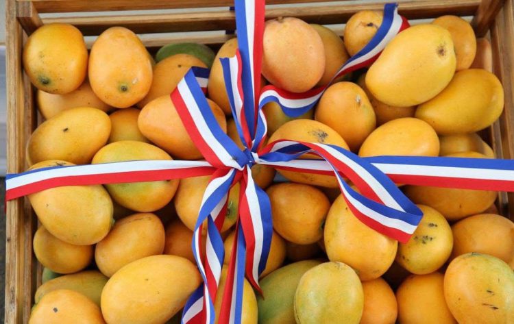 Bani: «Capital del mango»