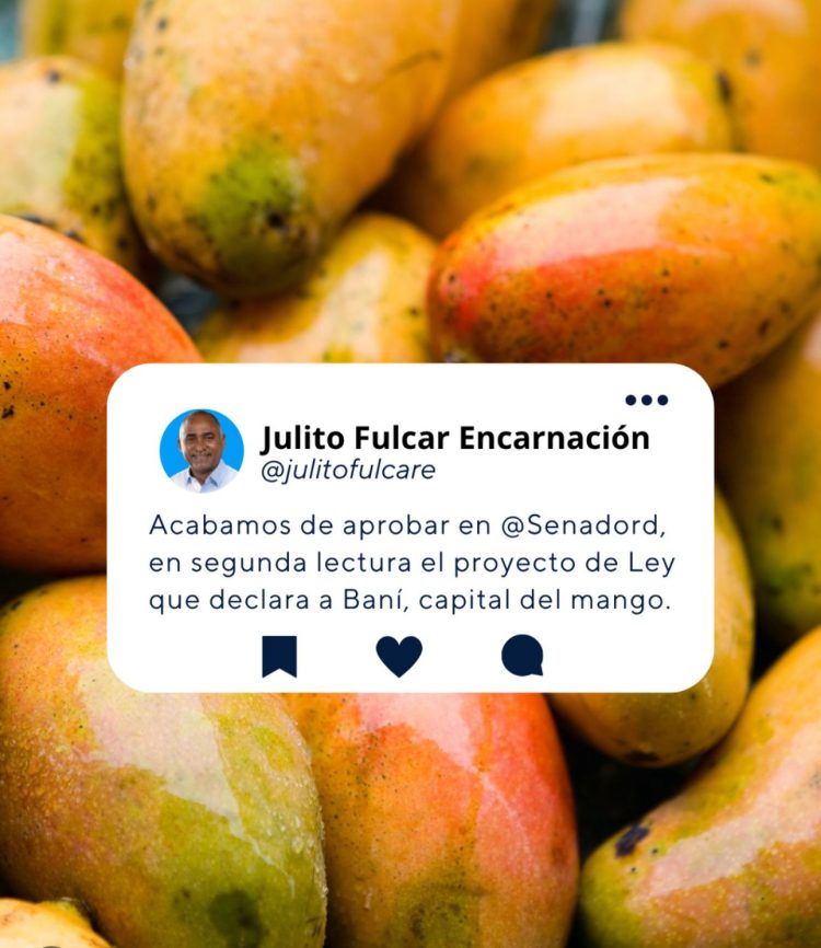 Bani: «Capital del mango»