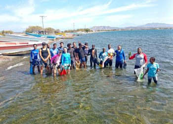 Centro Cultural Perelló celebra día mundial del medio ambiente con jornada de saneamiento y plantación de mangles en la Playa Punta Salinas