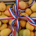 Baní ya es oficialmente la Capital del Mango: iniciativa del senador Julito Fulcar es aprobada