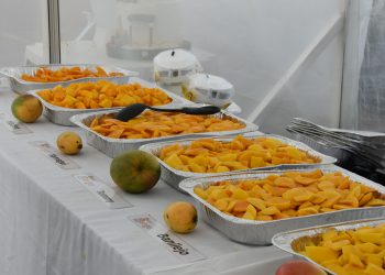 Concluye exitosa Expo Mango 2025