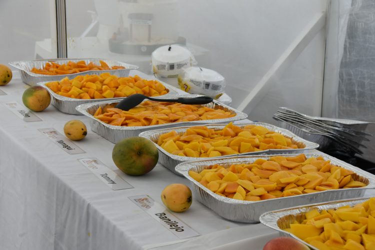 Concluye exitosa Expo Mango 2025
