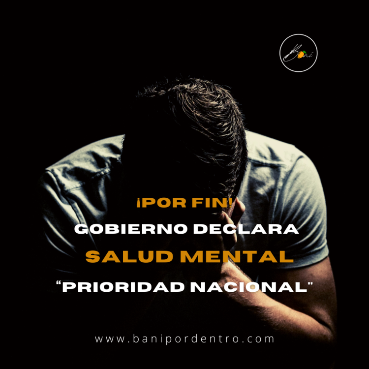 ¡POR FIN! Gobierno declara SALUD MENTAL como «Prioridad nacional»