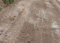 AGRICULTURA MEJORA CAMINOS INTERPARCELARIOS