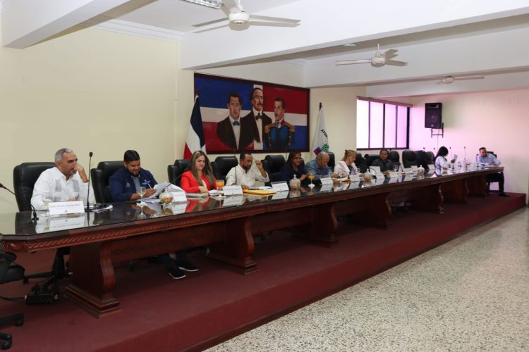 Esto fue lo trató el Concejo de Regidores en la sesión del jueves 29 de enero de 2026