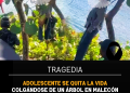 Adolescente se quita la vida colgándose de un árbol en malecón