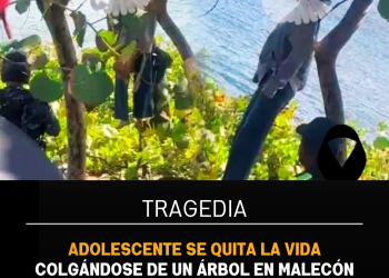 Adolescente se quita la vida colgándose de un árbol en malecón