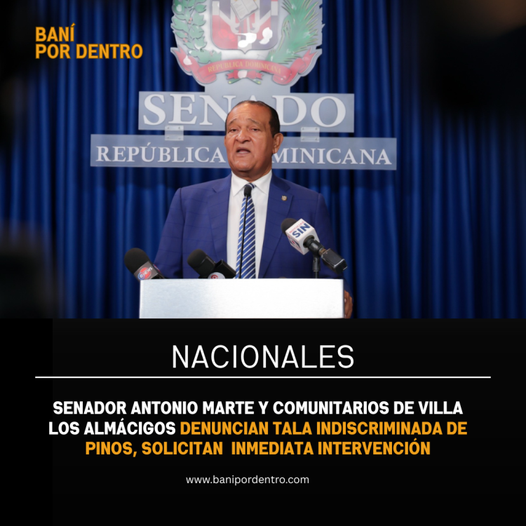 Senador Antonio Marte y comunitarios de Villa Los Almácigos denuncian tala indiscriminada de pinos y solicitan una inmediata intervención de las autoridades.