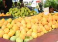 Expo Mango 2026 culmina con éxito y reafirma a Baní como Capital del Mango