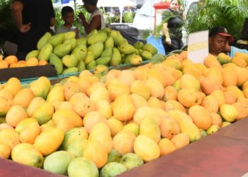Expo Mango 2026 culmina con éxito y reafirma a Baní como Capital del Mango