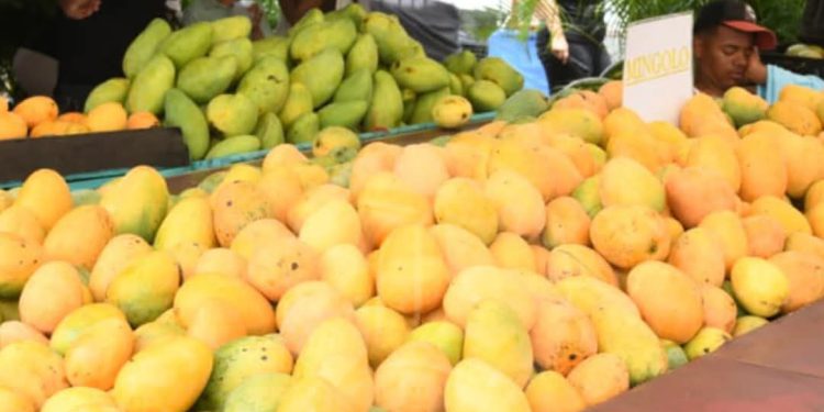 Expo Mango 2026 culmina con éxito y reafirma a Baní como Capital del Mango