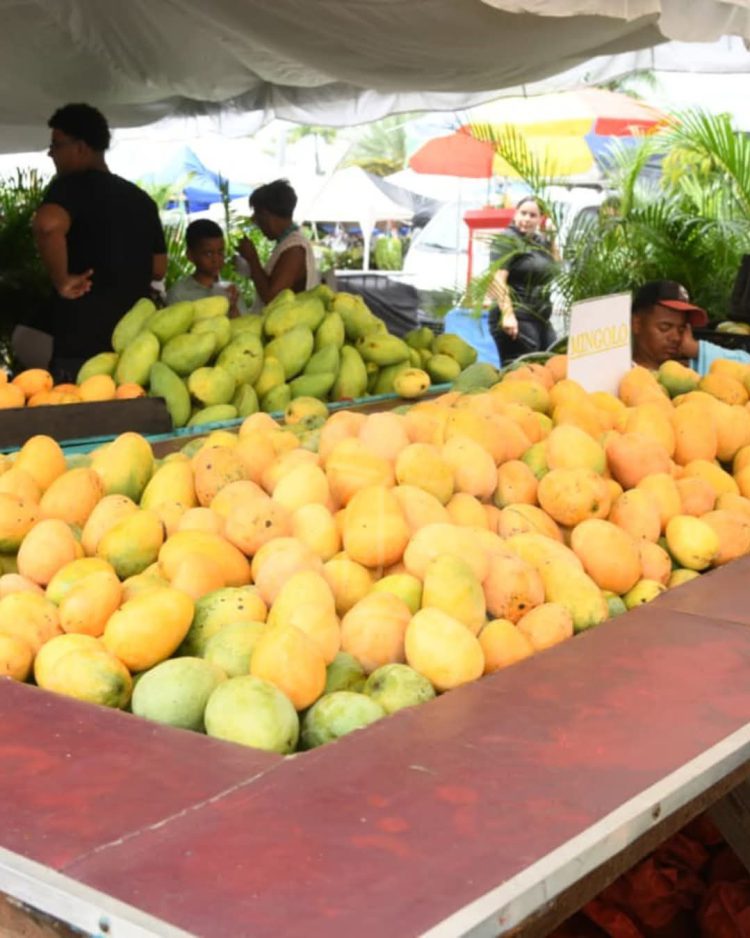 Expo Mango 2026 culmina con éxito y reafirma a Baní como Capital del Mango