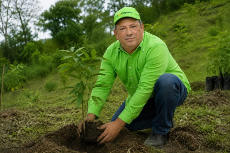 COOPNAMA fortalece su compromiso con la sostenibilidad mediante jornada nacional de reforestación por el Día Mundial del Medio Ambiente